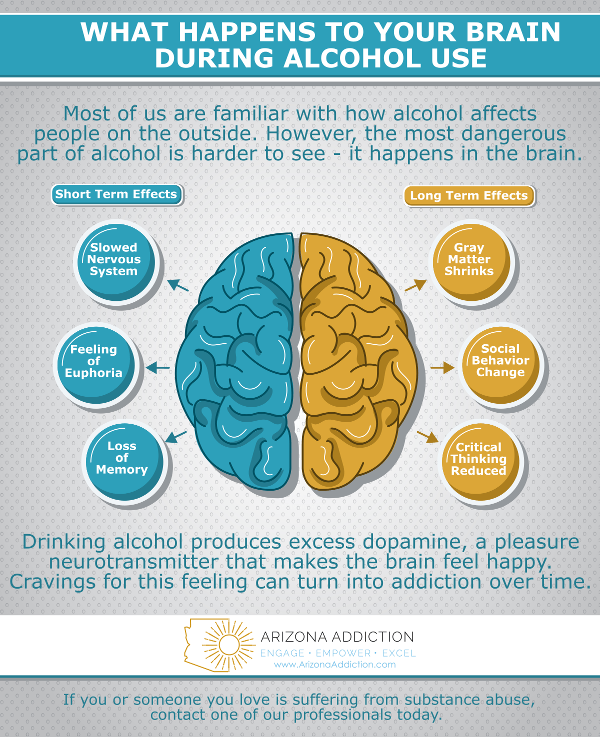 Brain during alcohol use, alcohol addiction treatment